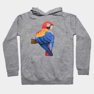 Scarlet Macaw Art Painting Hoodie